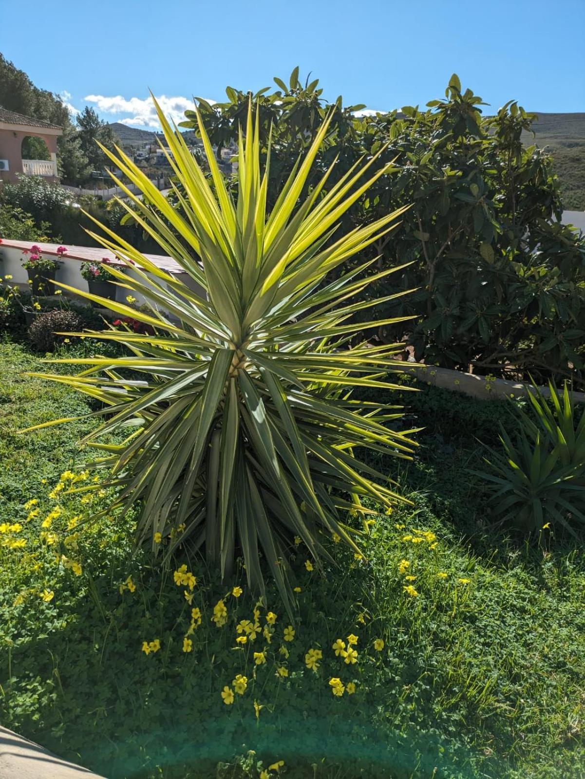 Buen Estar, Piscina, Barbacoa, Jacuzzi En Valencia Villa Turís Kültér fotó